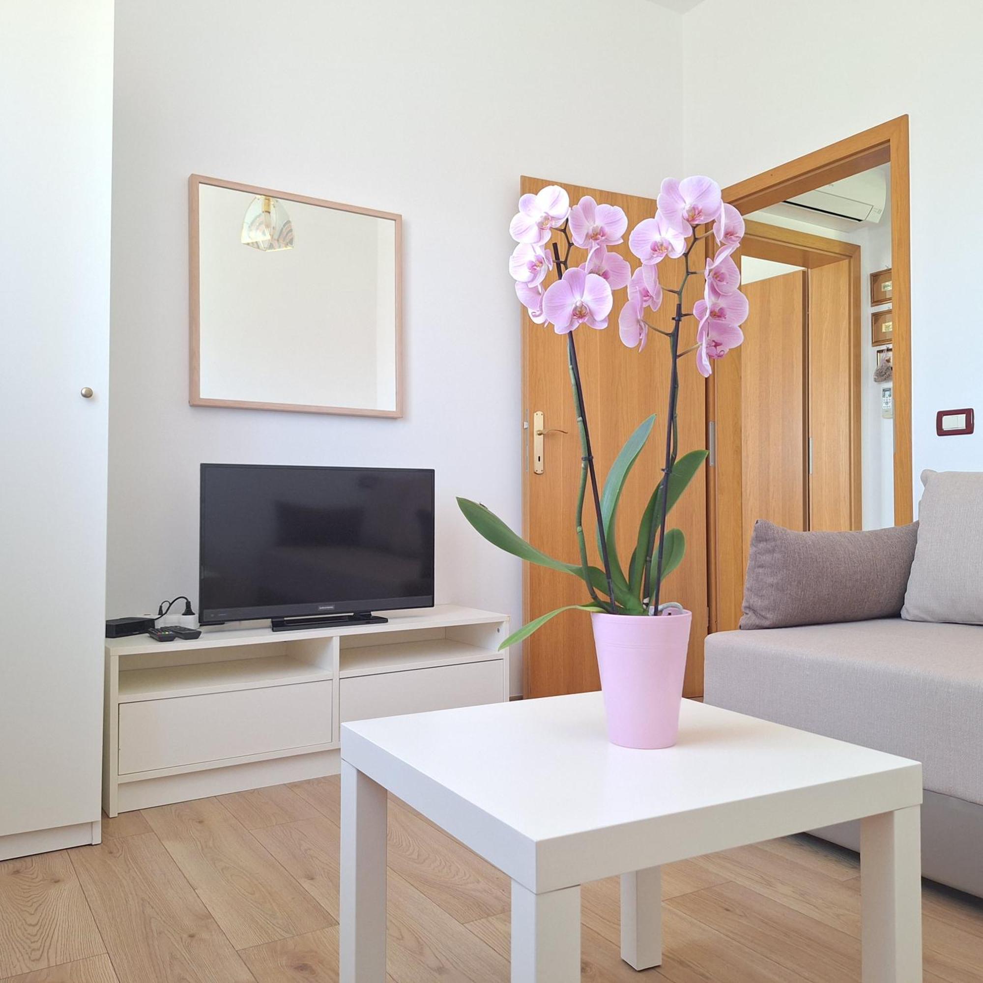 Apartment Mita โกรชน์ยัน ภายนอก รูปภาพ